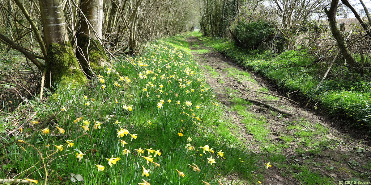 Bracquetuit (Chemin 2)