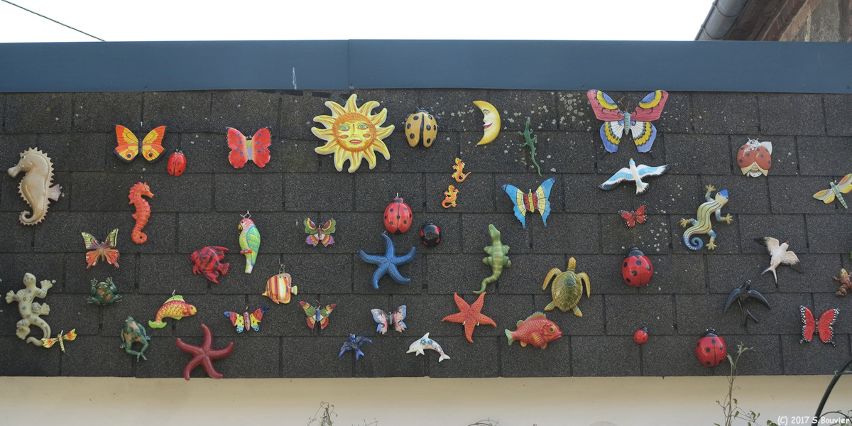 Montville (Animaux)