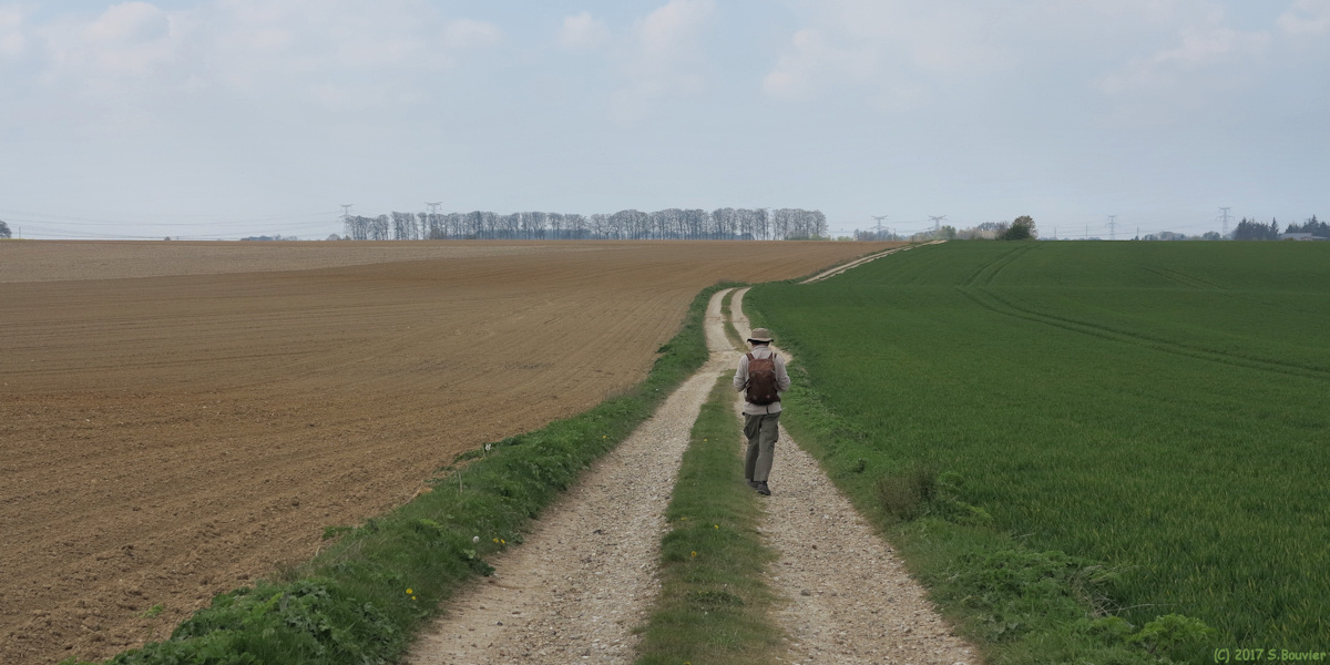 Sierville (Chemin)