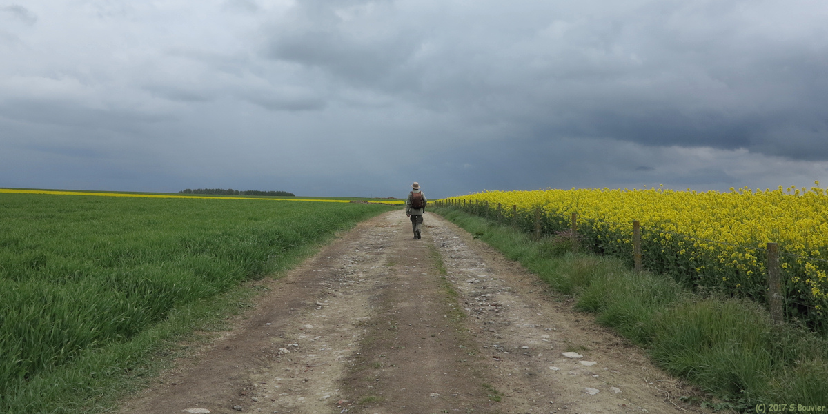 Claville-Motteville (Chemin)