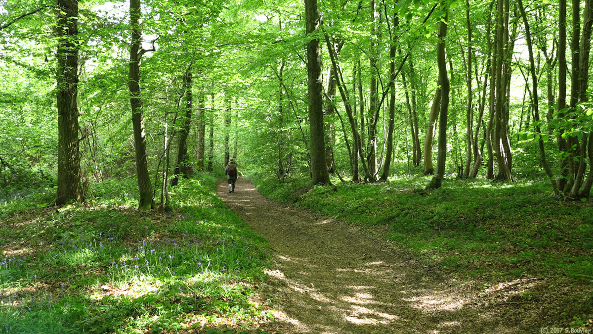 Fontaine le Bourg (Chemin)