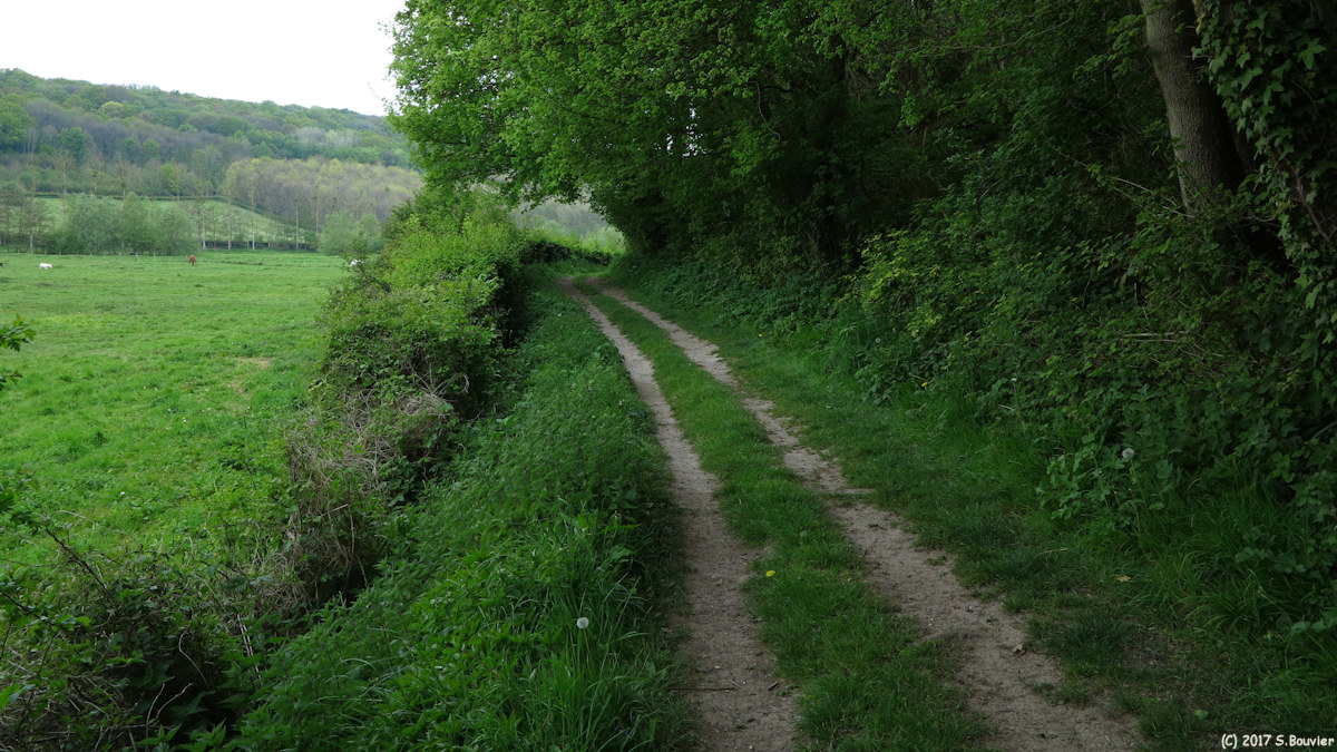 Anceaumeville (Chemin 1)