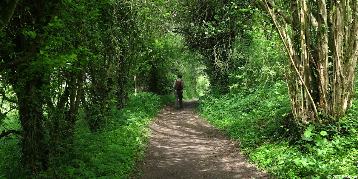 Anceaumeville (Chemin 2)