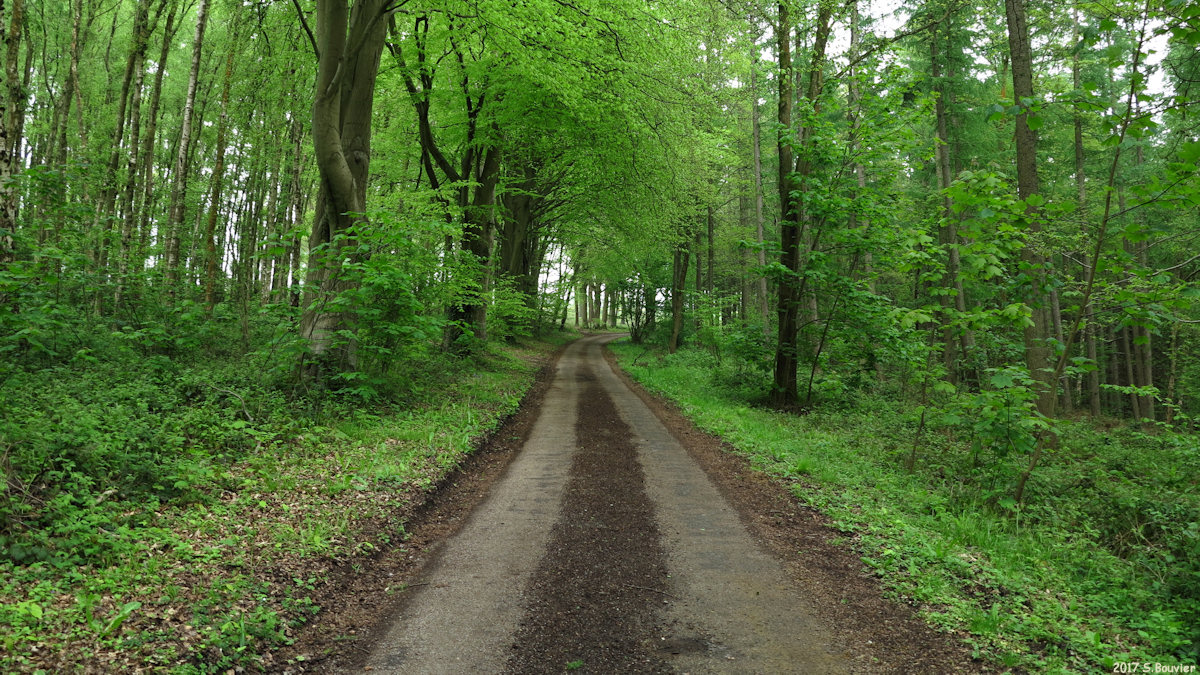 Bosc-Guérard-Saint Adrien