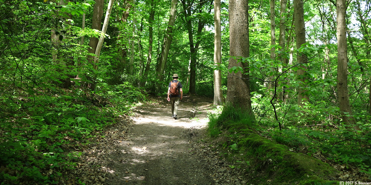 Le Houlme (Chemin)