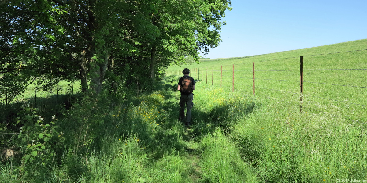 Saint André sur Cailly (Chemin 1)