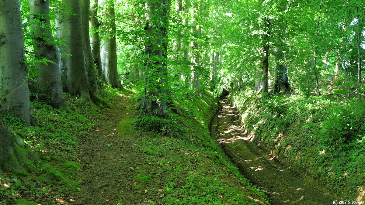 Saint André sur Cailly (Chemin 2)