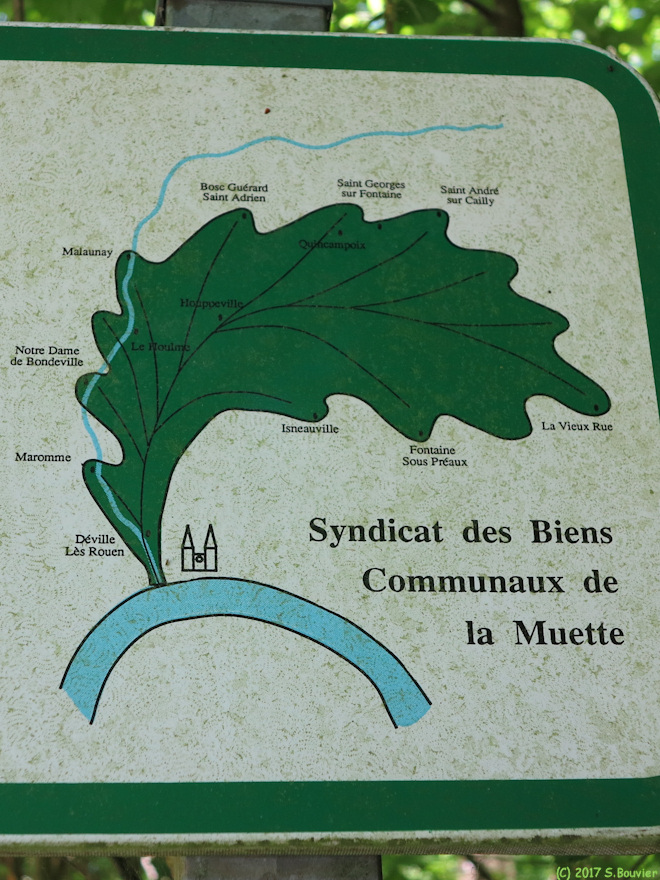 Forêt de la Muette (Panneau 2)