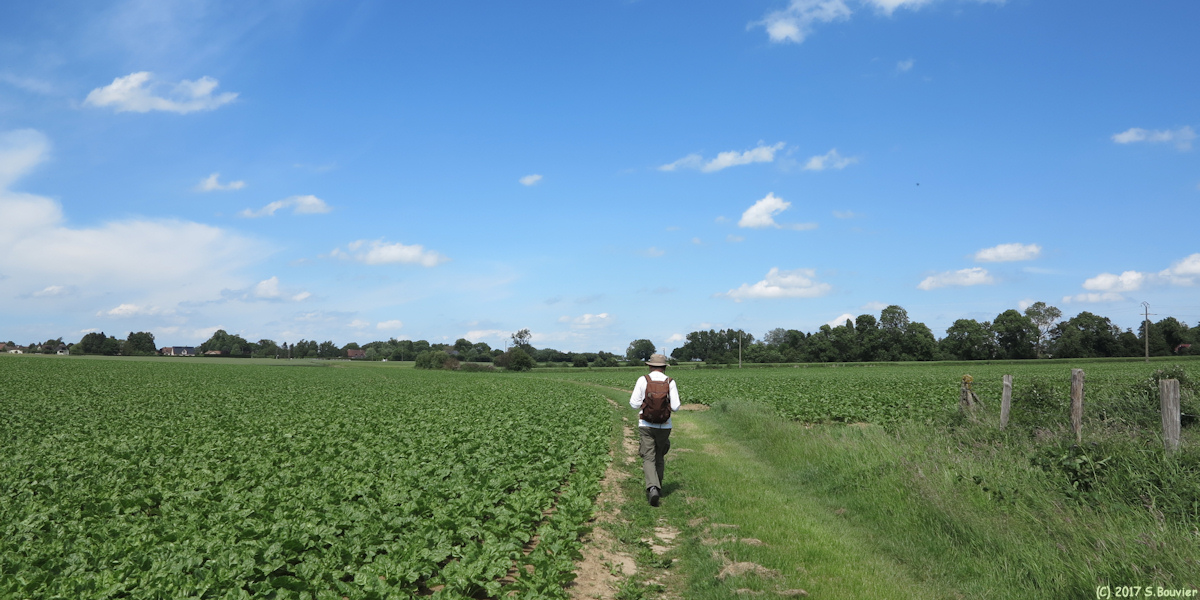 Préaux (Chemin 2)