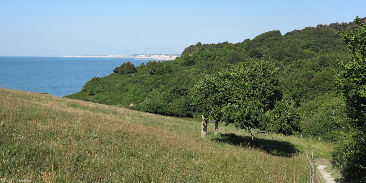 Varengeville sur Mer (Gorge 1)
