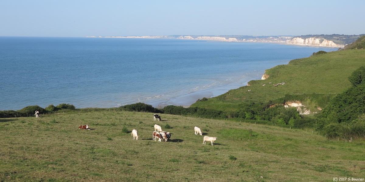 Varengeville sur Mer (Vue)