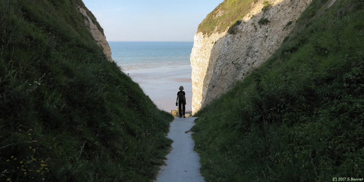 Varengeville sur Mer (Valleuse)
