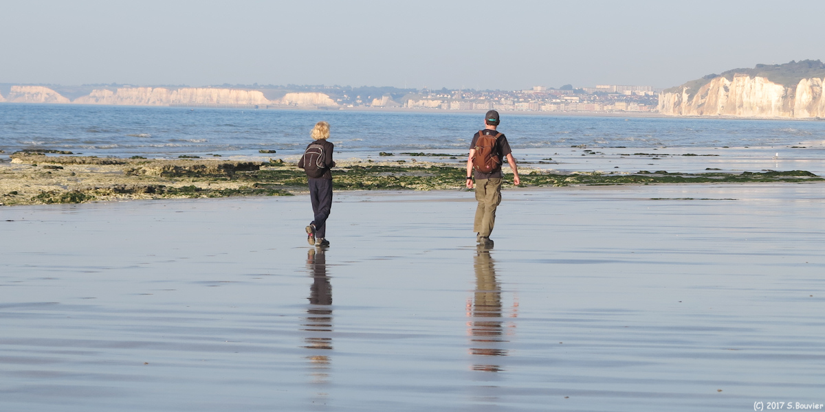 Varengeville sur Mer (Estran 2)