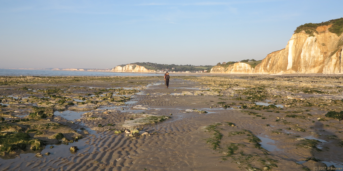 Varengeville sur Mer (Estran 5)
