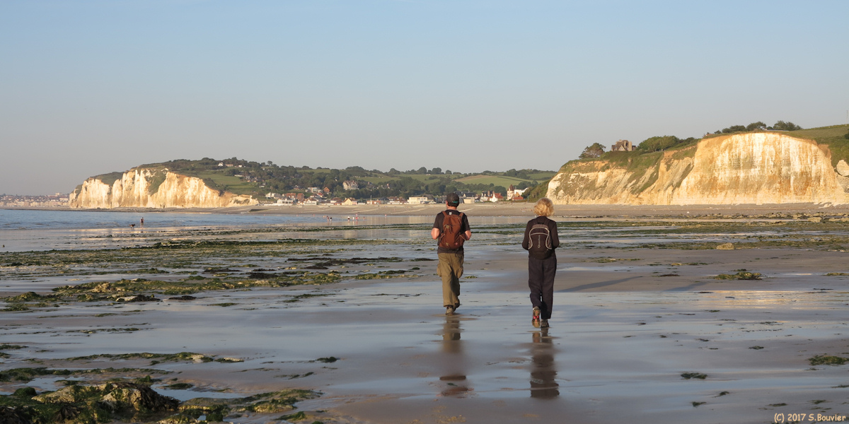 Varengeville sur Mer (Estran 6)