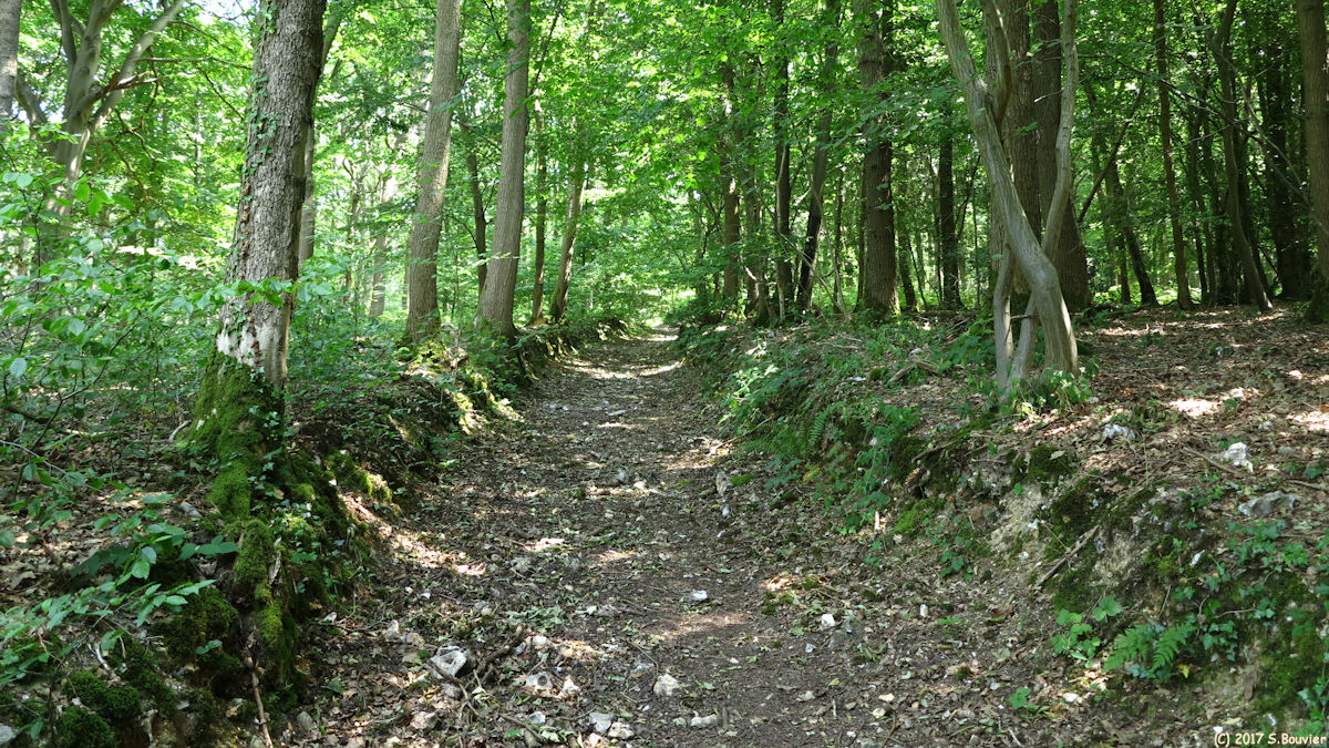 Fontaine sous Préaux (Chemin)