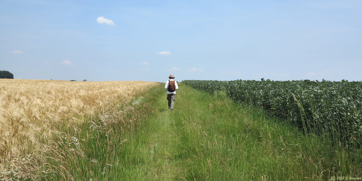 Préaux (Chemin 2)