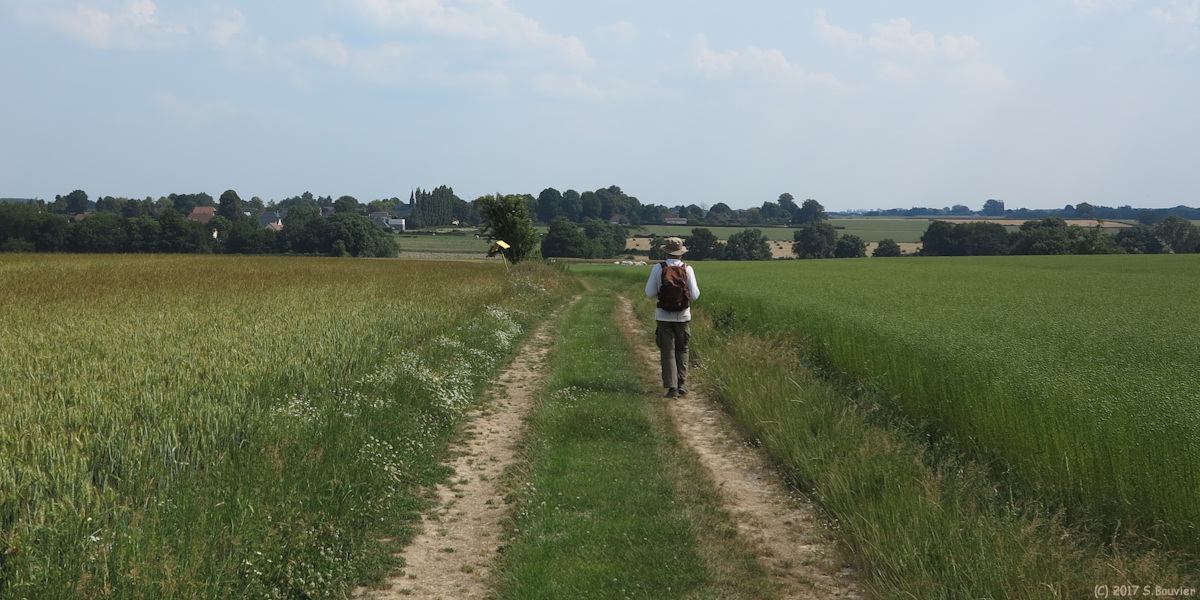 Bois l'Evêque (Chemin)