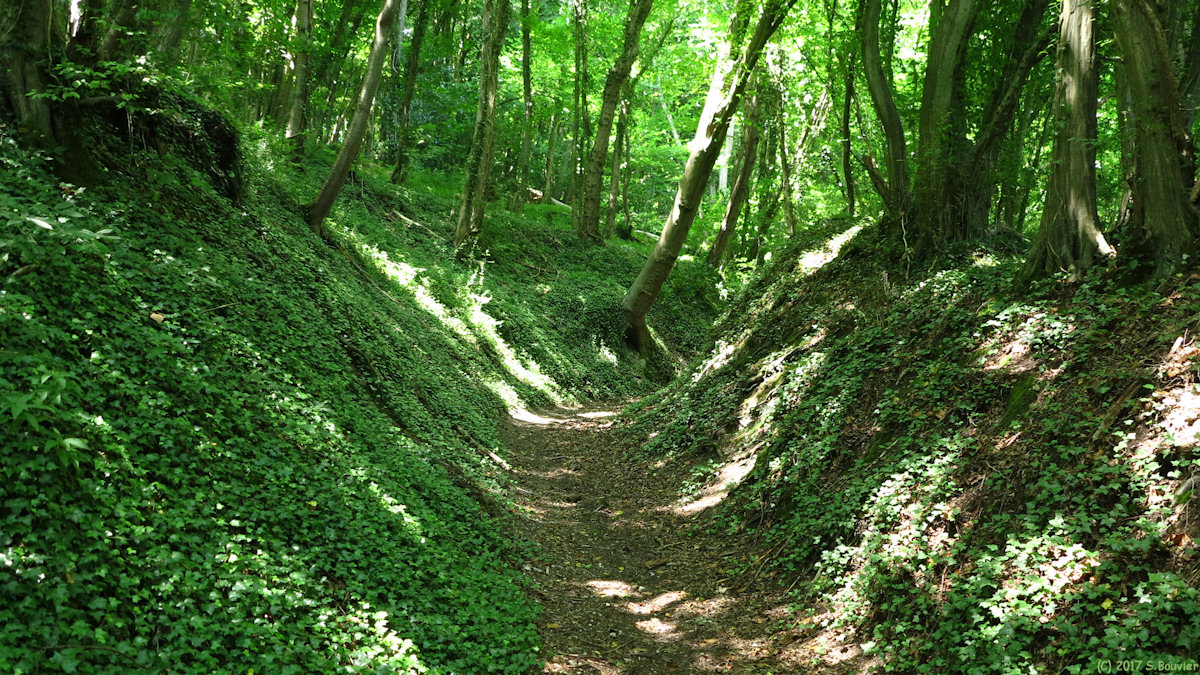 Saint Martin du Vivier (Chemin 2)