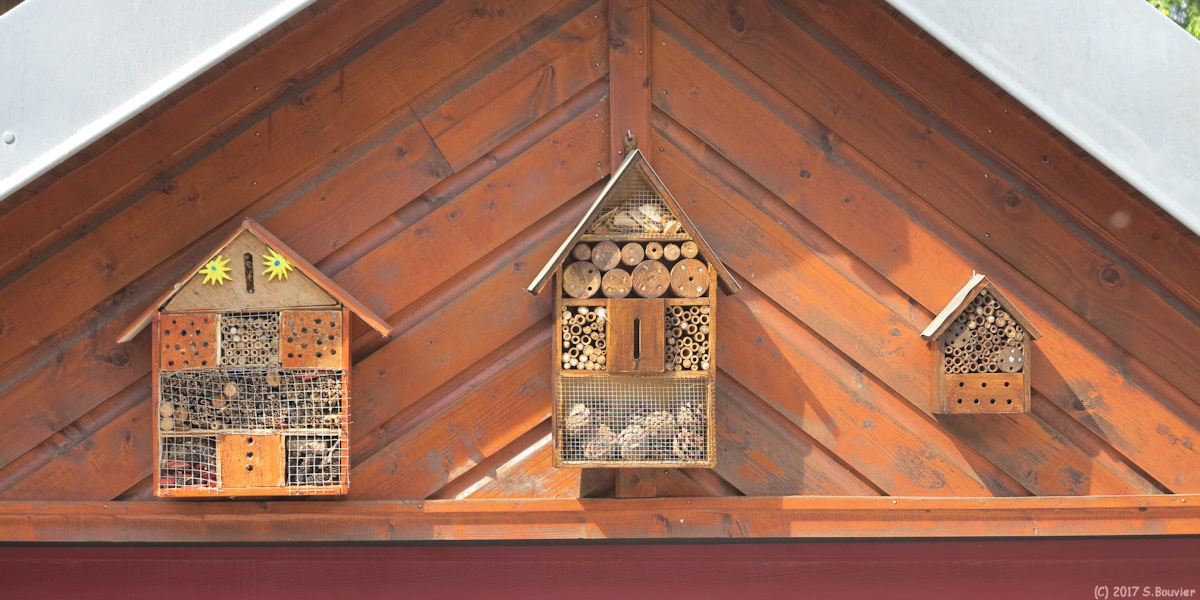 Rouen (Hôtels d'Insectes)