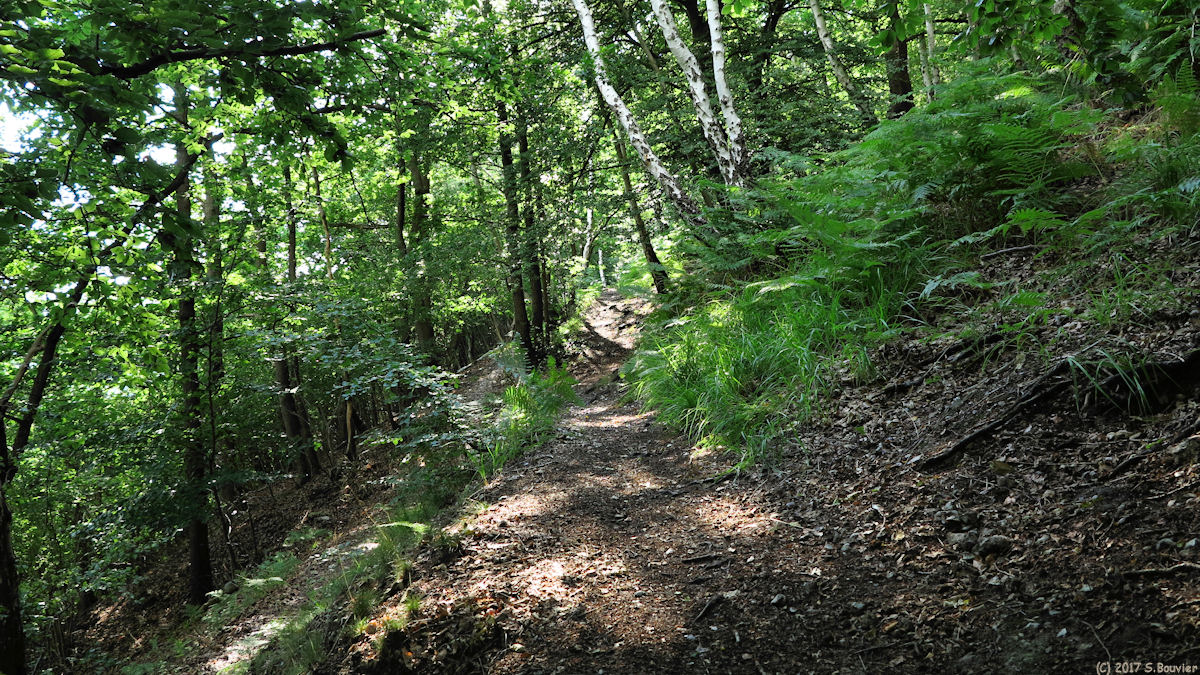Darnétal (Sentier)
