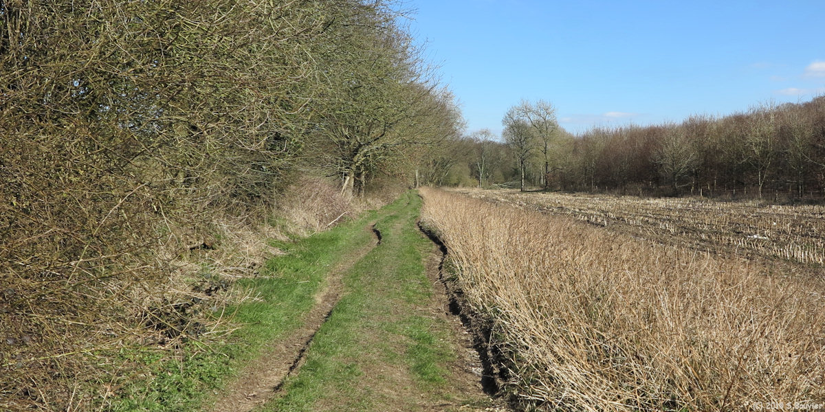 Bourdainville (Chemin)