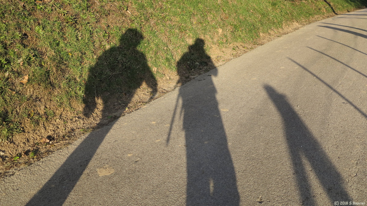 Vibeuf (Ombres)