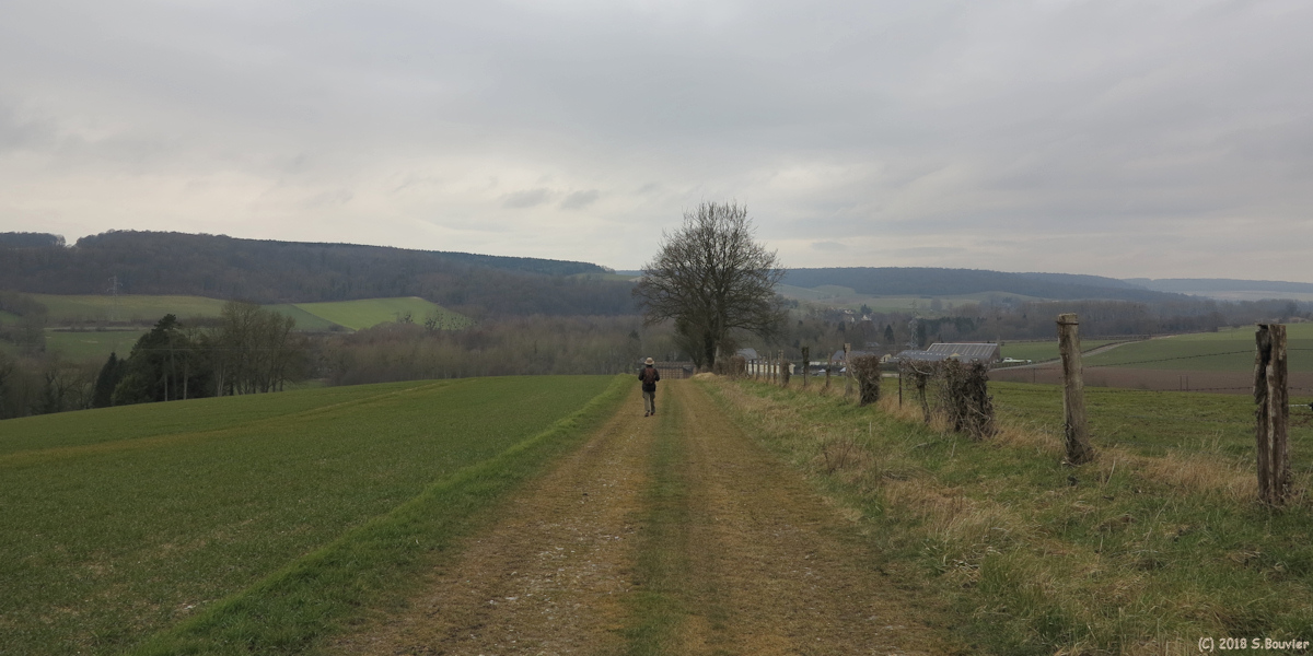 Lafresguimont Saint Martin (Chemin 3)