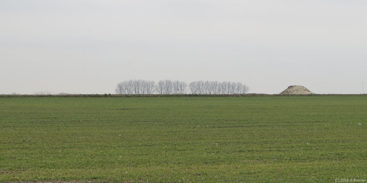 Beaucamps le Jeune  (Plaine)
