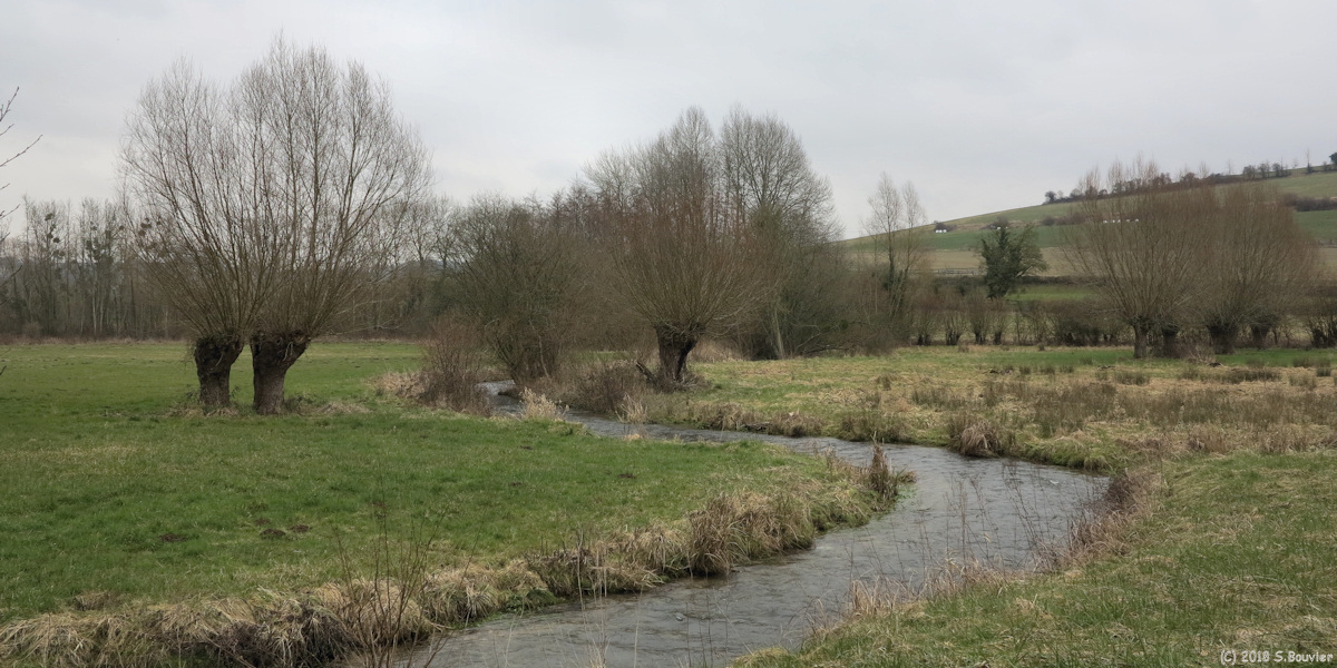 Ellecourt (Méline)
