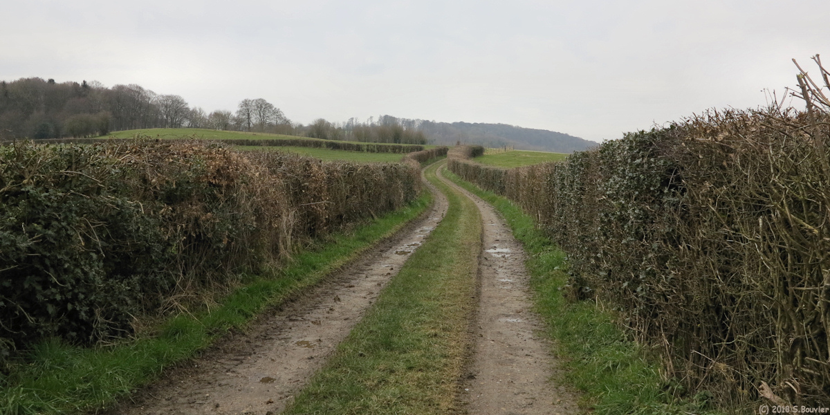 Ellecourt (Chemin 4)