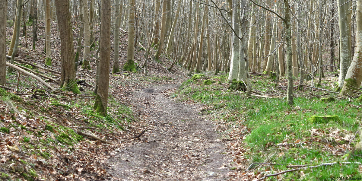 Incheville (Chemin)