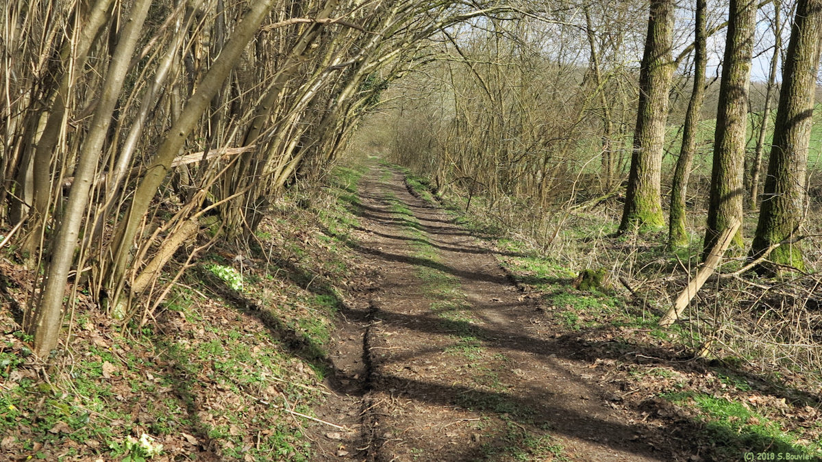 Ectot l'Auber (Chemin)