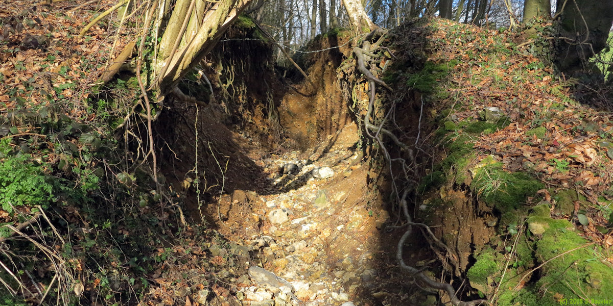 Val de Saâne (Ravine)