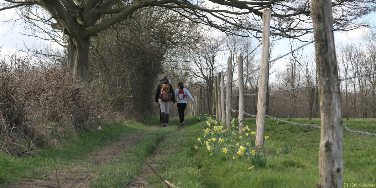 Val de Saâne (Chemin)