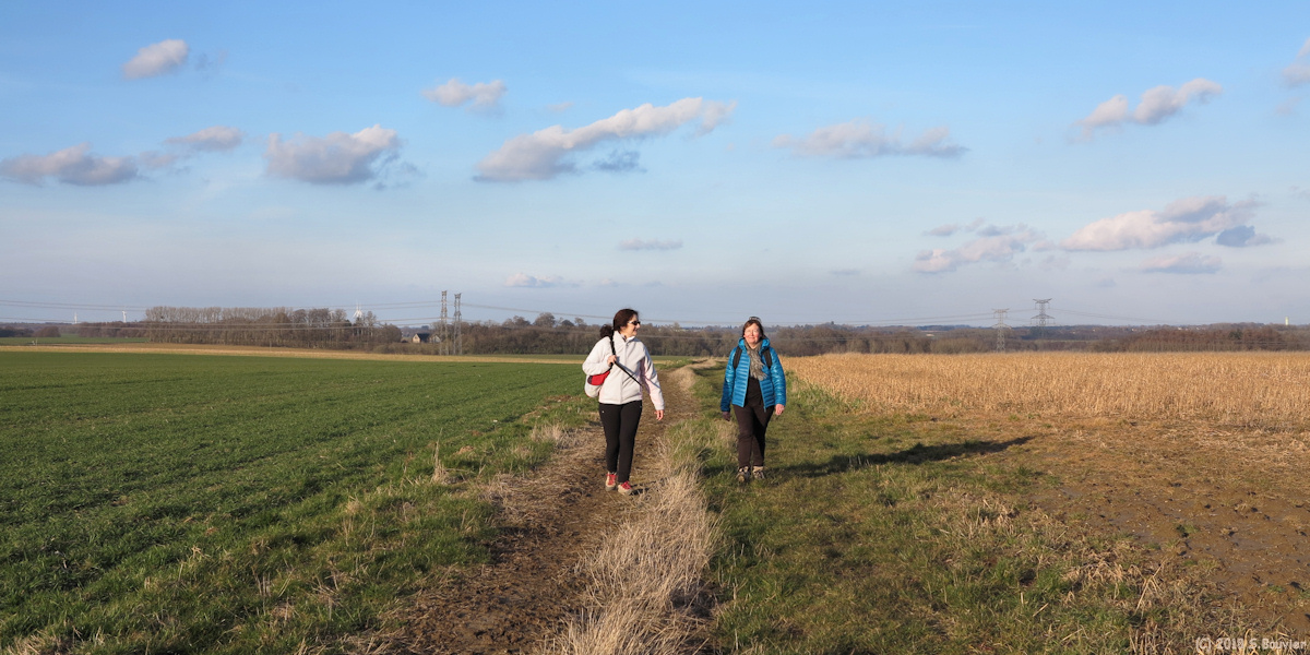 Vibeuf (Chemin)