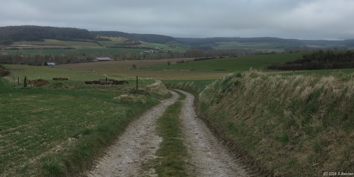 Dancourt (Chemin 2)