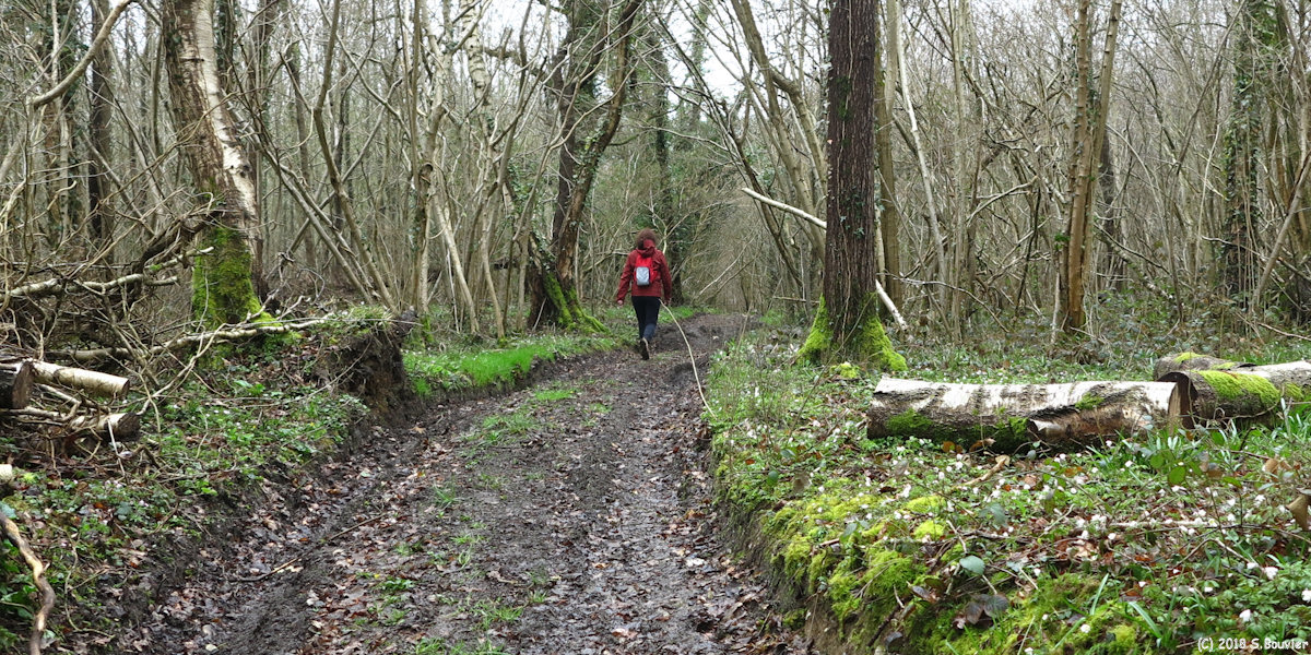 Dancourt (Chemin 3)