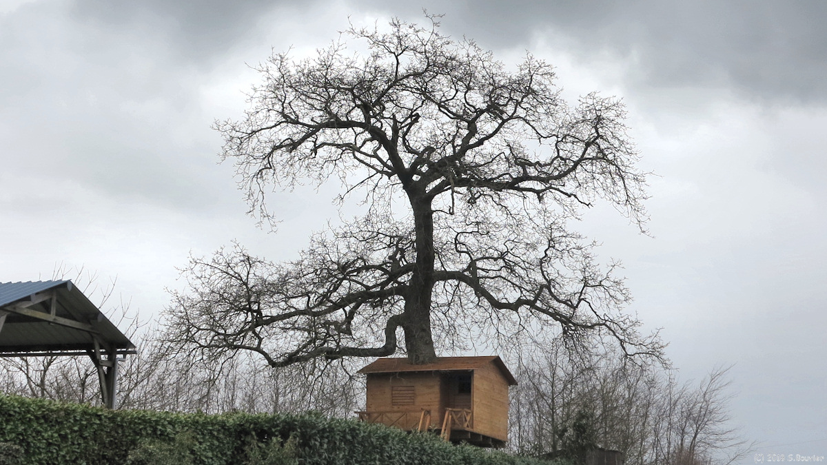 Vibeuf (Cabane)