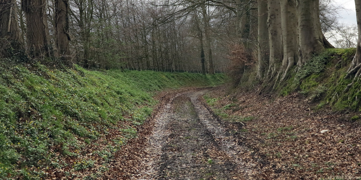 Ouville l'Abbaye (Chemin)