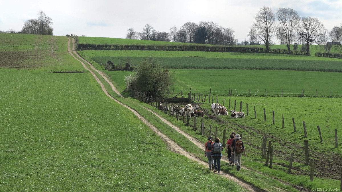 Saint Nicolas d'Aliermont (Chemin 5)