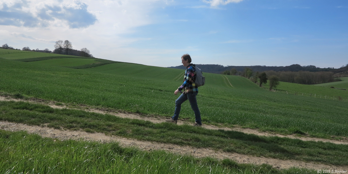 Saint Nicolas d'Aliermont (Chemin 6)