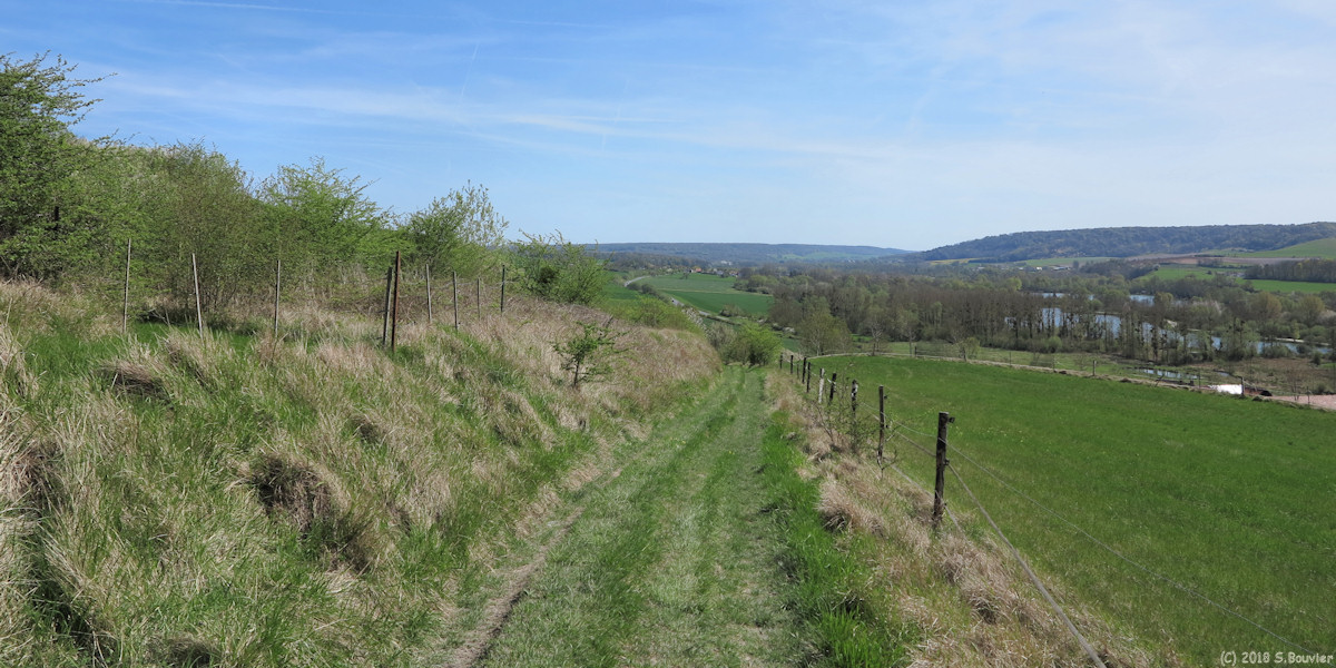 Neslette (Chemin 2)