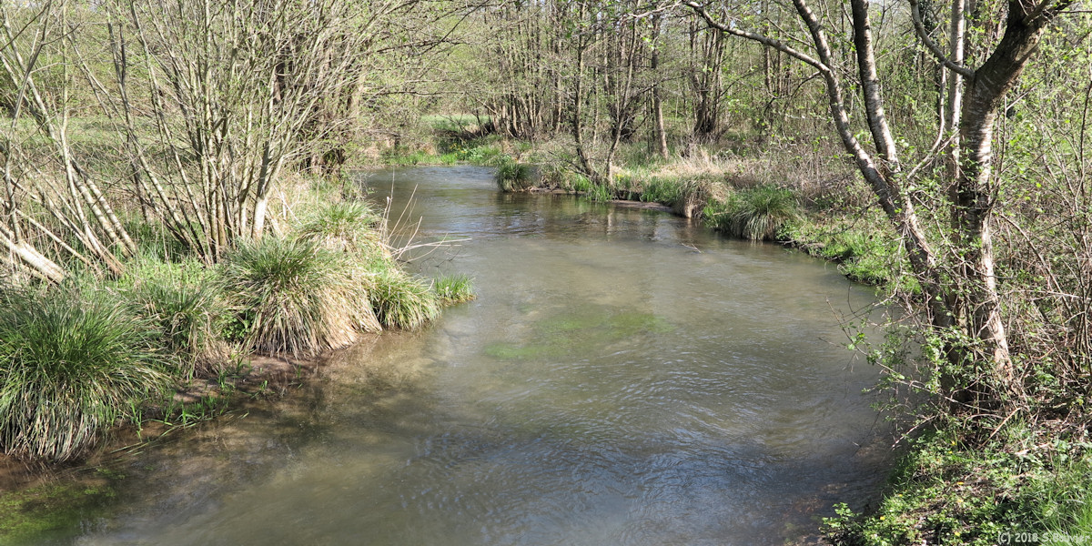 Nesle Normandeuse (La Bresle 1)