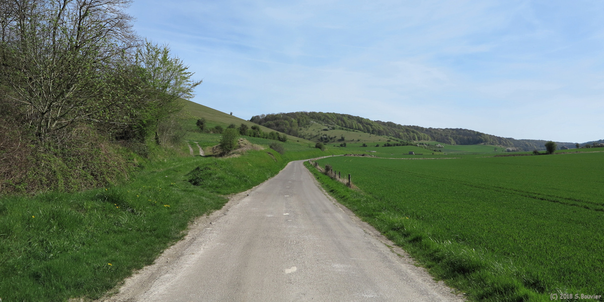 Nesle Normandeuse (D260)