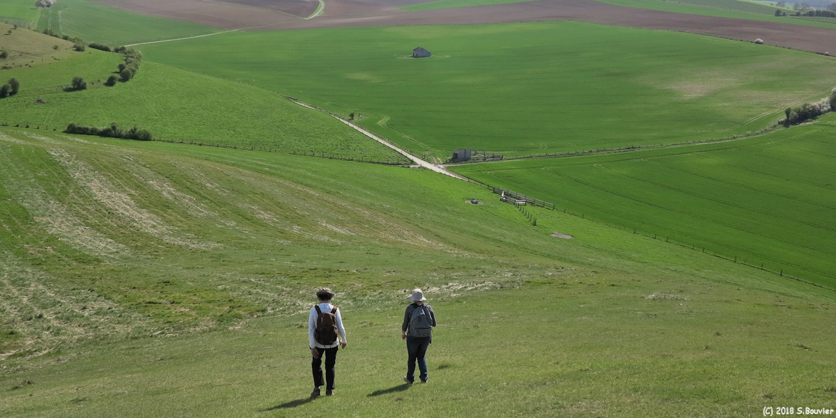 Nesle Normandeuse (Mont Faucon 5)