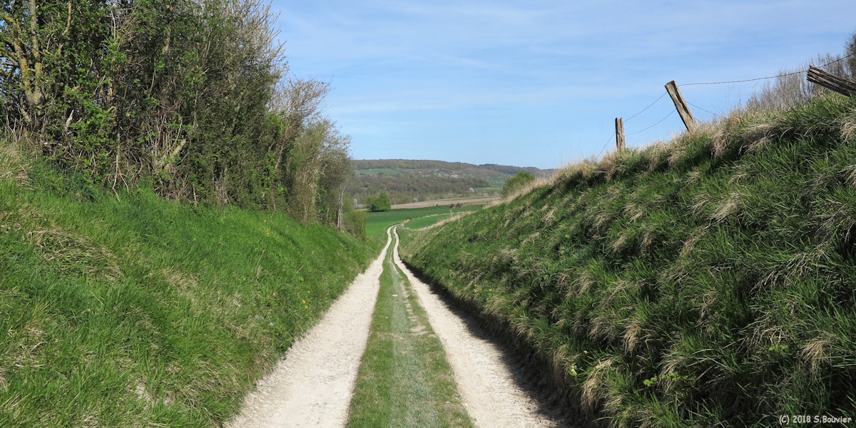 Nesle Normandeuse (Chemin)