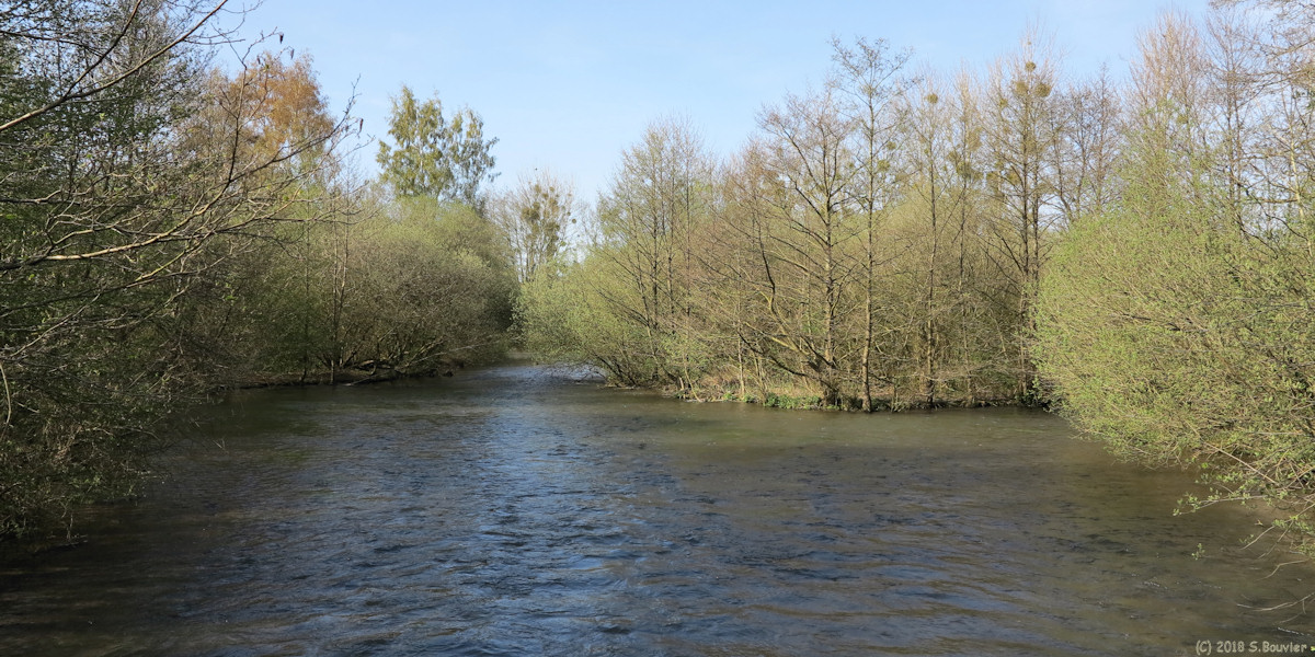Nesle Normandeuse (La Bresle 2)