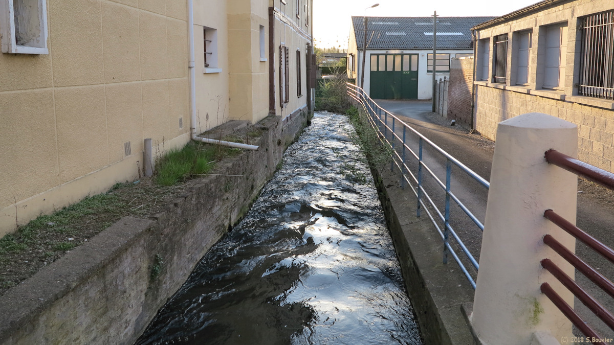 Blangy sur Bresle (La Bresle)