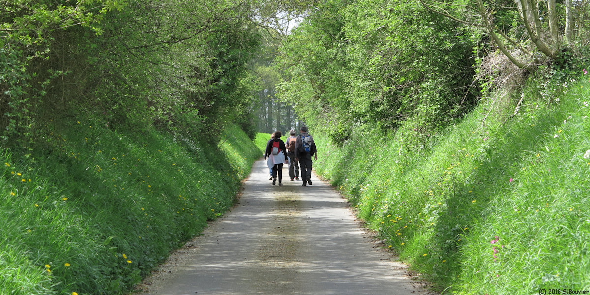 Ouville l'Abbaye (Route 1)
